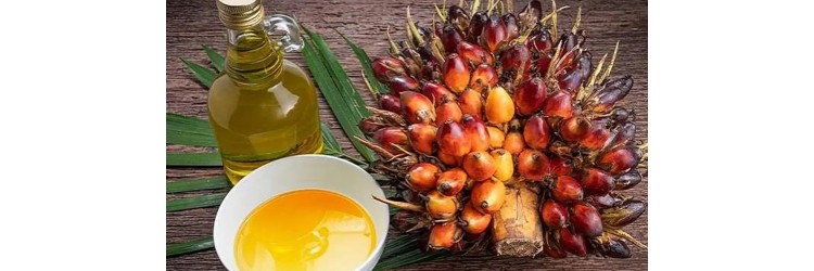 Palm Yağı Nedir? Helal mi, Zararlı mı?