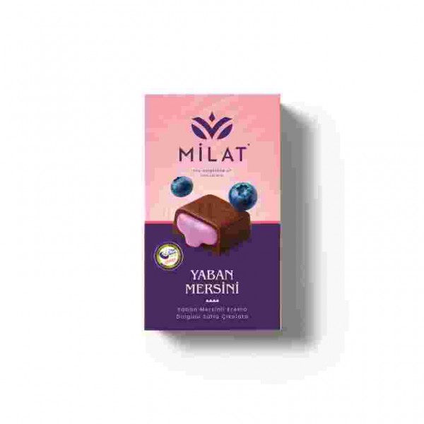 MİLAT YABANMERSİNİ DOLGULU ÇİKOLATA  60 GR